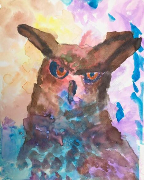 Mason's Blue Owl