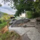 MUSINGS ON A ROCK